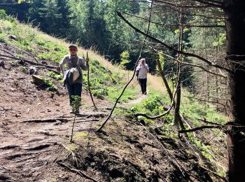 Tour Zu Fuß Unbekannt - Wanderweg Kettwig A3 - Photo