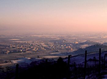 Tour Zu Fuß Monteforte d'Alpone - Percorso dei 10 Capitelli - Photo