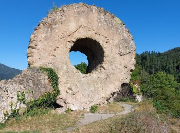 Trail Walking Thann - Entre Thann et le Molkenrain - Photo