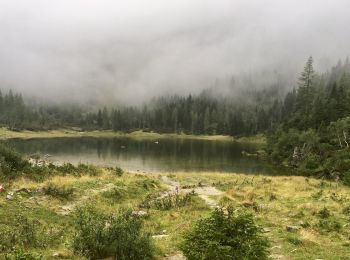 Tour Zu Fuß Hüttschlag - Naturkundlicher Lehrweg ins Schödertal - Photo