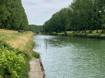 Tocht Stappen Hautvillers - Chemin par monts et par vaux - Hautvilliers - Photo