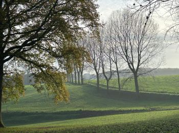 Tour Wandern Huldenberg - #241111 - Huldenberg, promenade du Borredelle**** - Photo