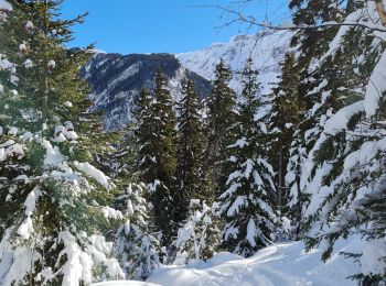 Excursión Raquetas de nieve Pralognan-la-Vanoise - Pralognan: La Corniche 8 - Photo