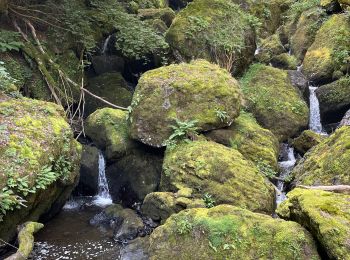 Trail Walking Salins - Rando cascade Salins - Photo