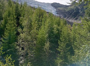 Tour Wandern Chamonix-Mont-Blanc - Chamonix, cascade du dard,  glacier des boissons - Photo