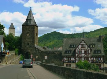 Excursión A pie Bacharach - RheinBurgenWeg Rundtour - Stahlberg-Schleife - Photo