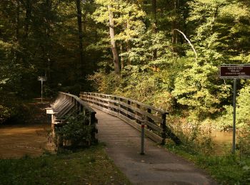 Trail On foot Hanau - Hanau - Rundwanderweg Eichhörnchen - Photo