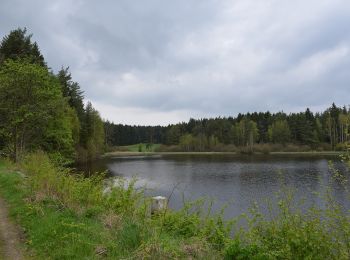 Tour Zu Fuß Thiersheim - Wanderweg 4 Thiersheim - Photo