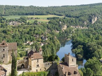 Tocht Stappen Saint-Cirq-Lapopie - Du camping de la Truffière à Bouziès - Photo