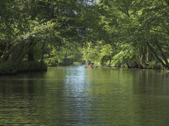 Tocht Te voet Schlepzig - Rundwanderweg Inselteich - Photo