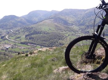 Trail Mountain bike Ramonchamp - les belvédères de la Haute vallée de la Moselle - Photo