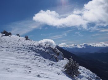 Tour Schneeschuhwandern Bouvante - Les gagères en raquettes - Photo