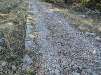 Trail On foot Grazalema - SALTO DEL CABRERO - Photo
