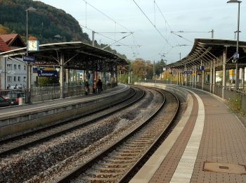 Excursión A pie Mosbach - Rundwanderweg Mosbach 4: Henschelberg-Weg - Photo