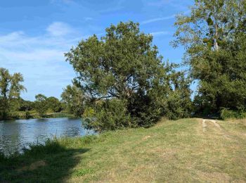 Tocht Stappen Saint-Georges-sur-Cher - Saint-Georges-sur-Cher - 2016 03 27 - Photo