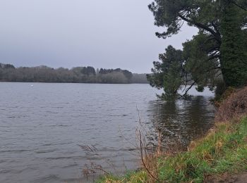 Randonnée Marche Lorient - grand lac du ter - Photo