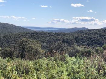 Tour Wandern Sainte-Maxime - Ste Maxime - Chapelle St Donnat - Le Revest - Photo