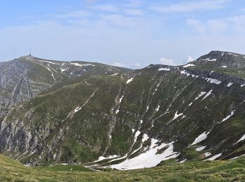 Tocht Te voet Bușteni - Bușteni - Poiana Coștilei - Cabana Omu - Photo