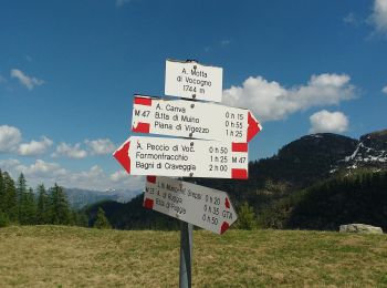 Tour Zu Fuß Santa Maria Maggiore - (SI E66) Alpe Cortevecchio (Rifugio Bonasson) - Bivacco Greppi - Photo