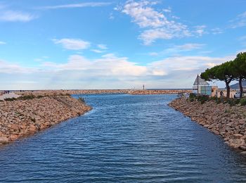 Excursión Senderismo Argelès-sur-Mer - racou -  risque de portails (par les bois) port argeles (par la mer) le racou - Photo