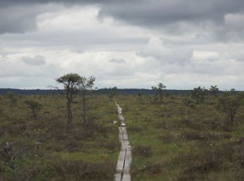 Trail On foot  - Lilla Lövö Runt - Photo