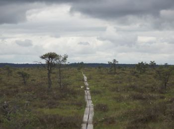 Randonnée A pied  - Lilla Lövö Runt - Photo