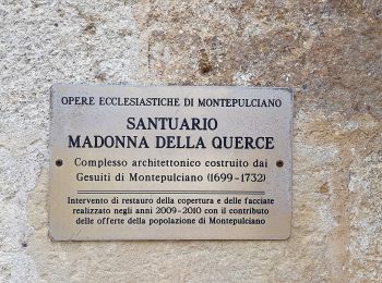Randonnée A pied Montepulciano - Sentiero del Nobile - Photo