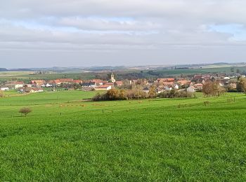 Trail Walking Volmunster - sentier chapelle St Joseph  - Photo