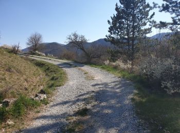 Trail Walking Furmeyer - La Lauze de Pennes - Photo