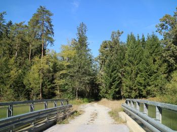 Trail On foot Haselsdorf-Tobelbad - Haselsdorf-Tobelbad 1 - Photo
