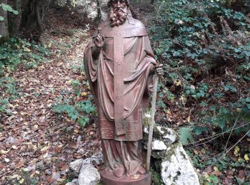 Tour Wandern Bogny-sur-Meuse - bogny  club du mercredi  - Photo