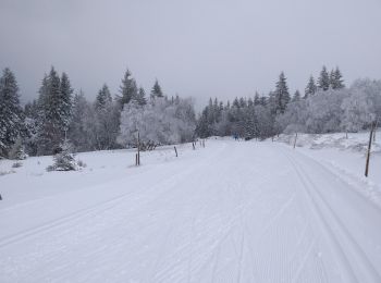 Excursión Esquí de fondo Le Valtin - schlucht 07 03 - Photo