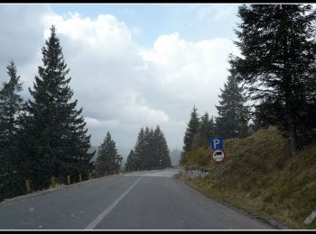Randonnée A pied Gheorgheni - Pasul Pângărați – Poarta Lapoșului – Curmătura Pinticului (blue stripe) - Photo