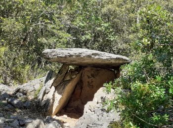Randonnée Marche Méjannes-le-Clap - mejannes sentier des baumes dolmens aven de peyre haute - Photo