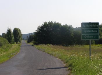 Tour Zu Fuß Stephansdorf in der Wart - P+ (Orfalui-nyereg, feszület - Apátistvánfalva - Zsida-patak völgye) - Photo