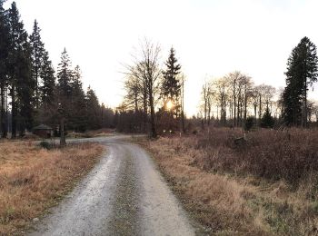 Trail On foot Netphen - Schulweg Rundweg A6 - Über die Eisenstraße - Photo