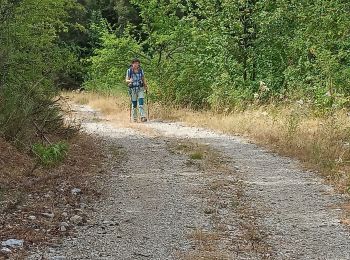 Trail Walking Digne-les-Bains - Les Dourbes - Barre des Doubes - Photo