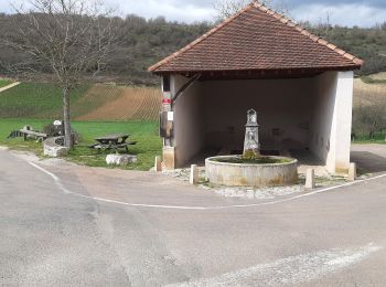 Randonnée Marche Chagny - Chagny 22.4km 20230330 - Photo