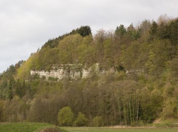 Excursión A pie Marktrodach - Kübelberg-Weg RT 26 - Photo