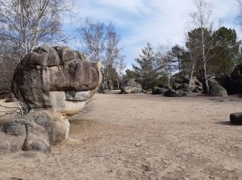 Tour Wandern Le Vaudoué - La Mée - Photo