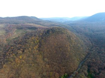 Tocht Te voet Esztergom - S+ Enyedi halála - Photo