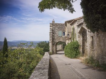 Randonnée Marche Savasse - Panorama de Savasse 7km - Photo