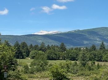 Excursión sport Sault - Sault - Le bois du Défends - Photo