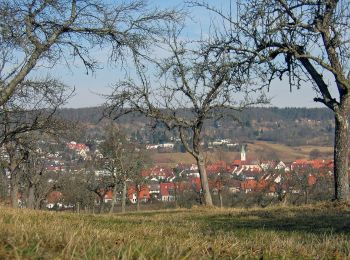 Tour Zu Fuß Magstadt - Rundwanderweg 1 - Photo