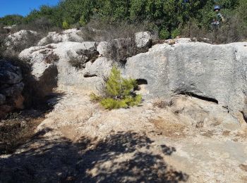 Excursión A pie מועצה אזורית מטה יהודה - IL-9315 - Photo