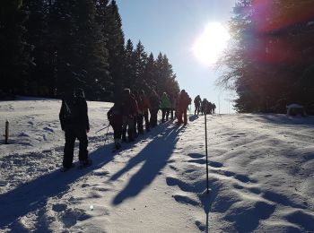 Trail Walking Divonne-les-Bains - A Jura - lundi 20/01/2020 - rando de l'après-midi - les Copettes - Photo