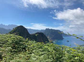 Tour Wandern Caniçal - Machado avec transfert de bus au milieu - Photo