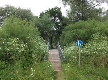 Trail On foot Schönberg - Nessenbach-Runde - Photo