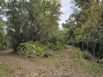 Trail Walking Pignans - Notre dame des anges - Photo