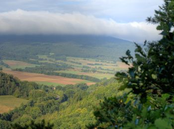 Tour Zu Fuß Meißner - Kupferbachtal und Wellingeröder Höhe - Photo